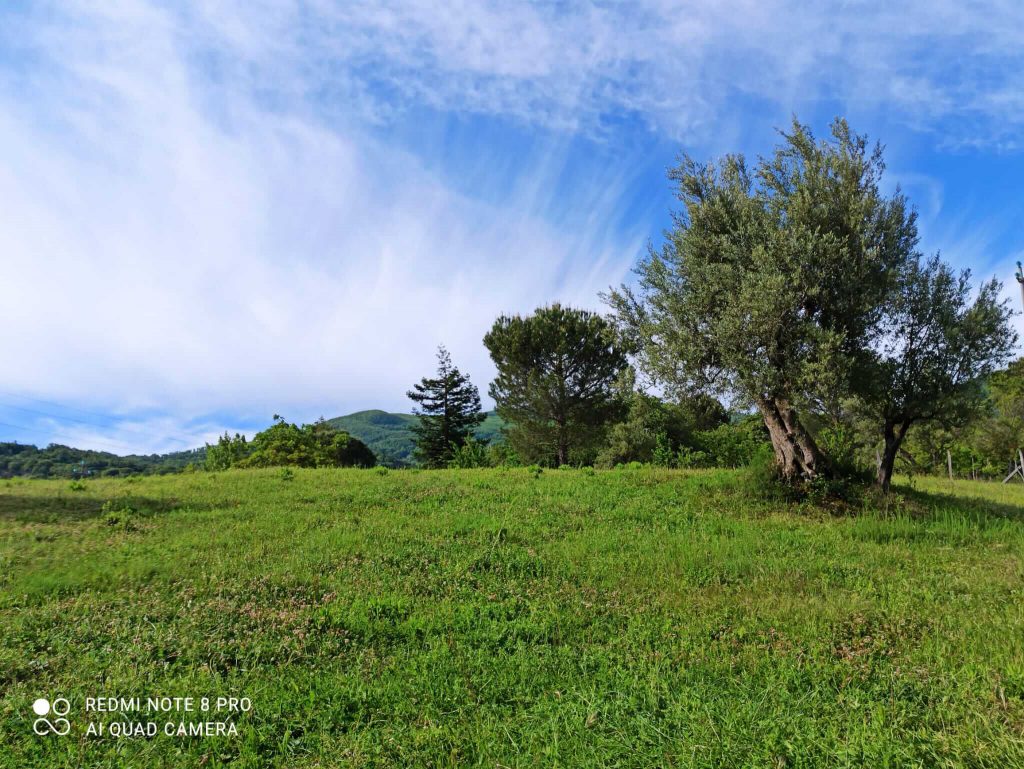 Campagna lucana nella certosa