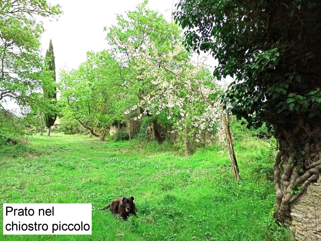 Chiostro piccolo con prato e cane nero