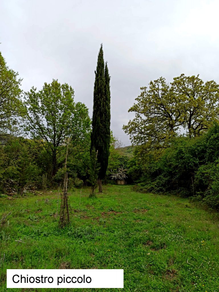 Chiostro - prato - cipresso