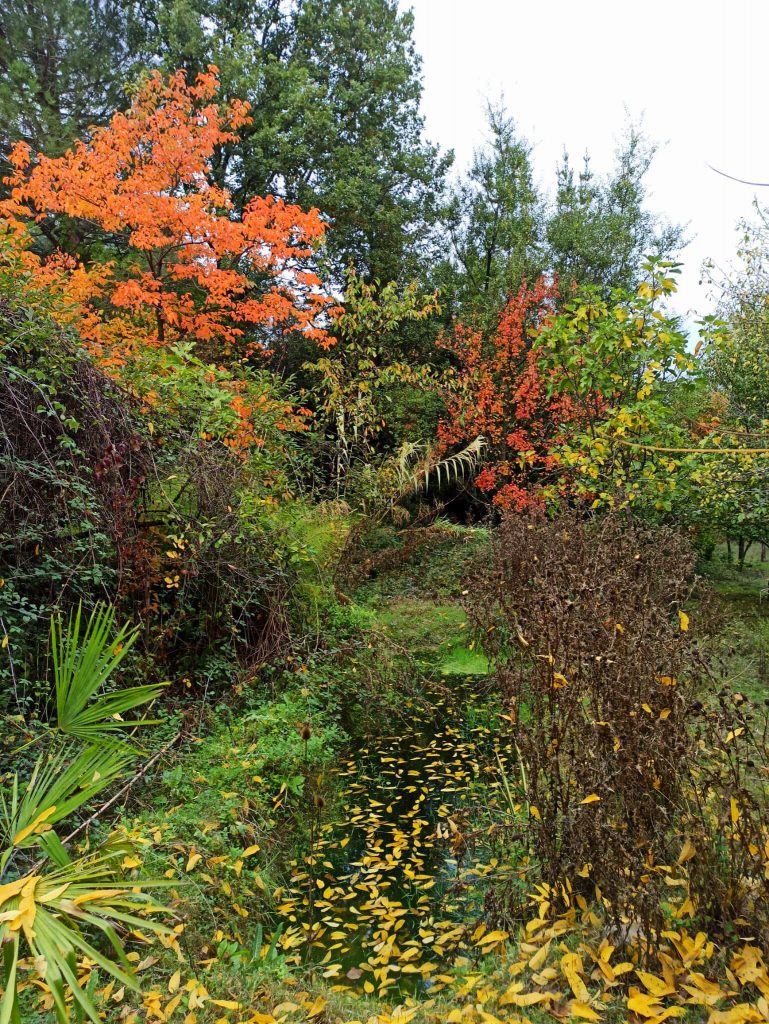 Giardino botanico in autunno